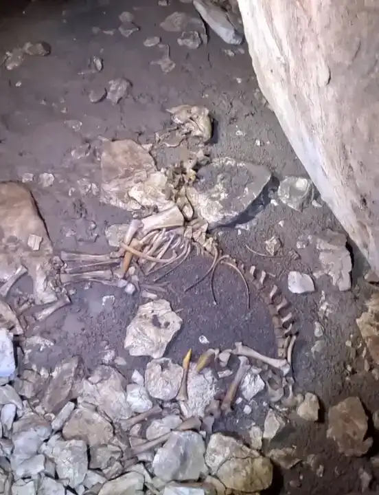 Antalya’da Fenomeni Şoke Eden Keşif! 8